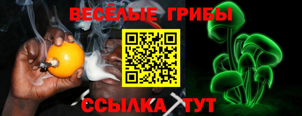 Псилоцибиновые грибы GOLDEN TEACHER Зерноград